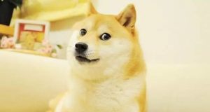 Dogecoin