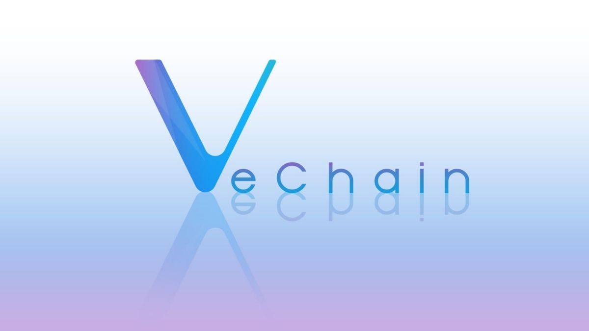 VeChain Foundation inicia la votación para la actualización de red propuesta